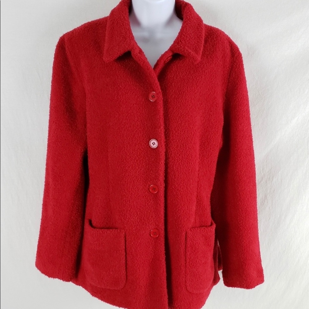 Sandro fuzzy teddy bear coat